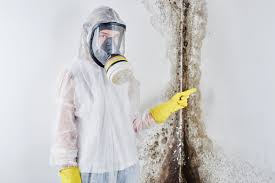 Best Asbestos and Lead Testing During Mold Inspection  in Fairview, MT